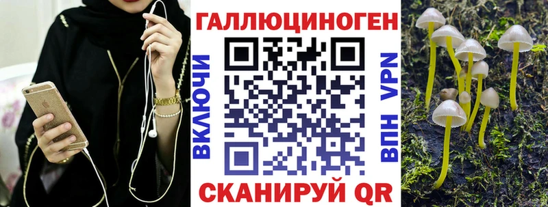 купить   Оленегорск  Галлюциногенные грибы MAGIC MUSHROOMS 